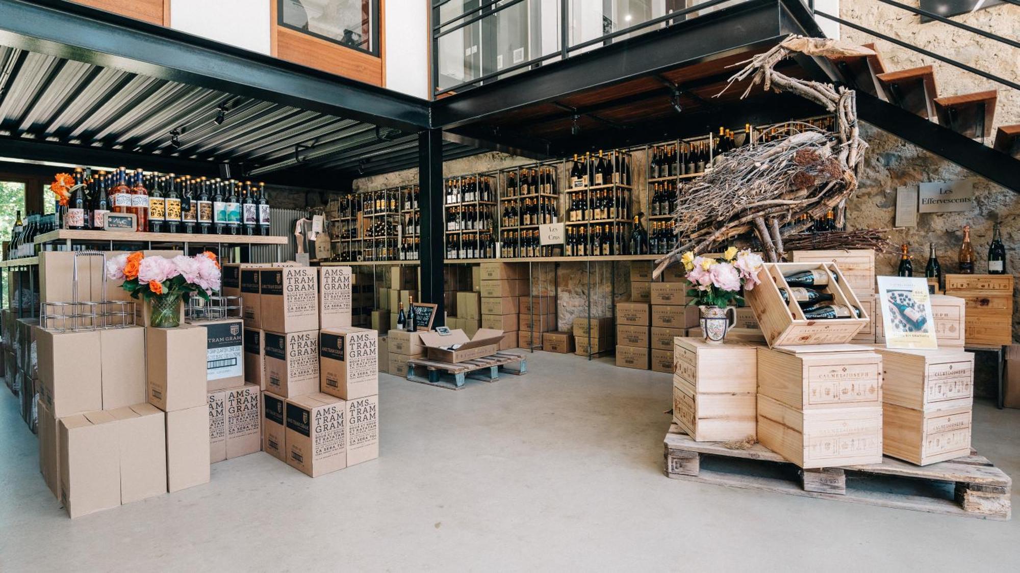 Montirat Domaine Calmel & Joseph别墅 外观 照片